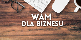 WAM dla biznesu